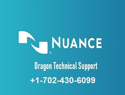 dragon naturally speaking support